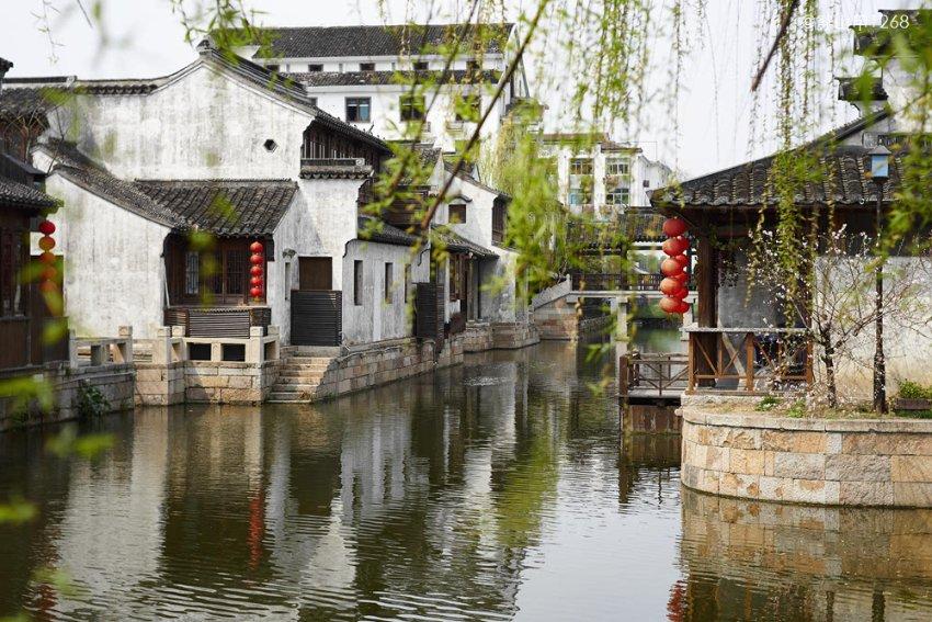 揭秘：那一味能“上润肺脏、中调脾脏、下滋肾脏”的中药是什么？